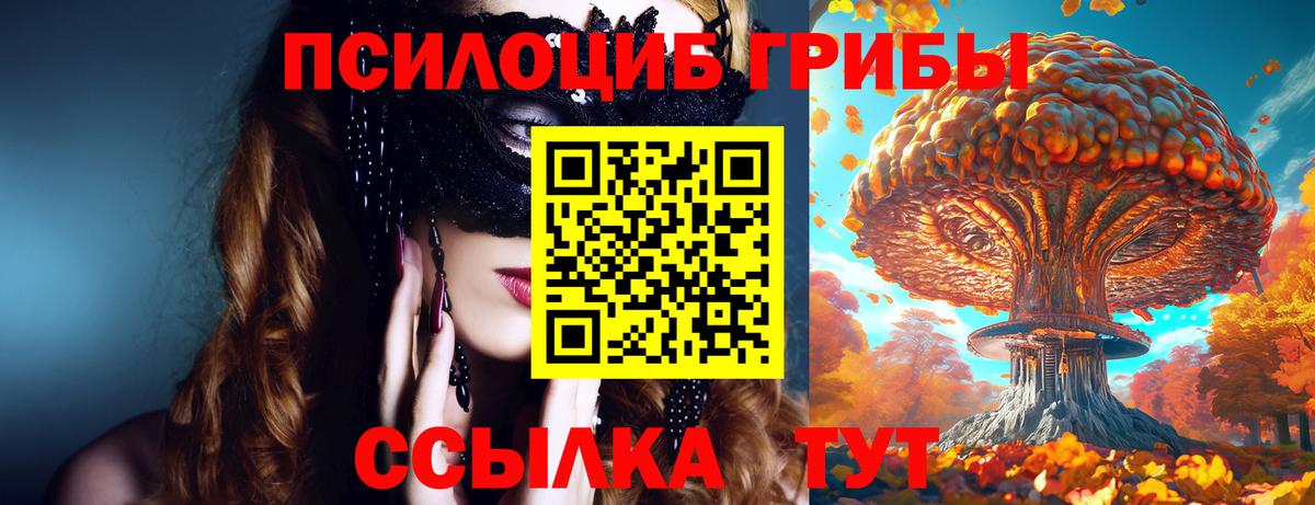 Галлюциногенные грибы Psilocybe Кудымкар