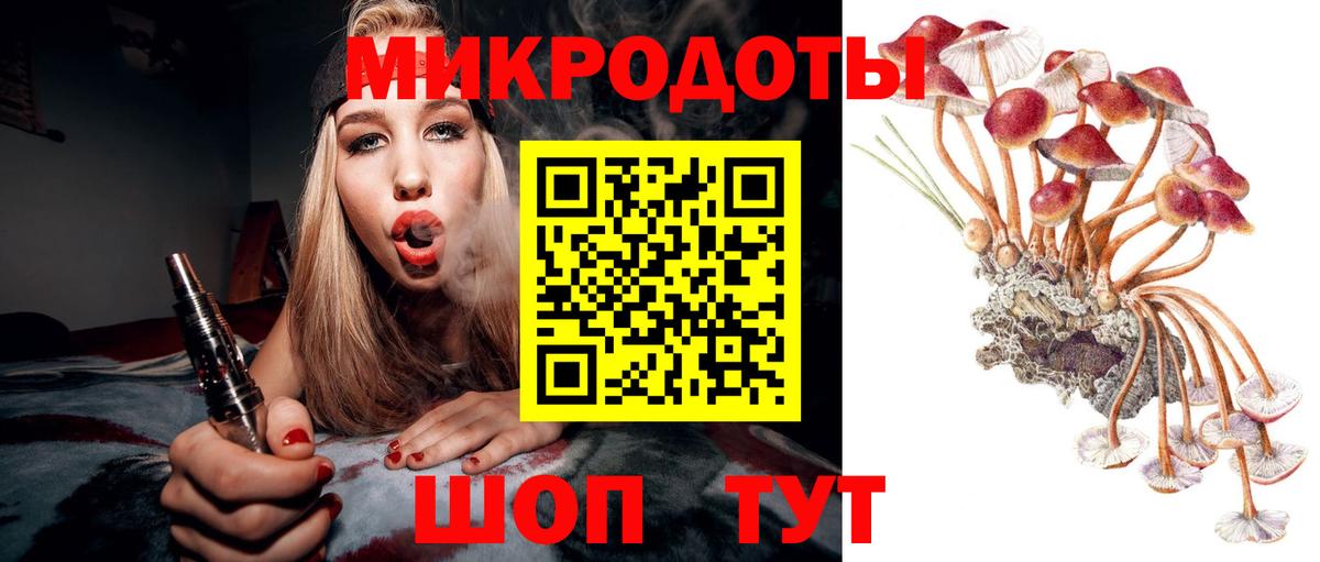 Псилоцибиновые грибы Psilocybine cubensis  Вход с VPN  Кудымкар 