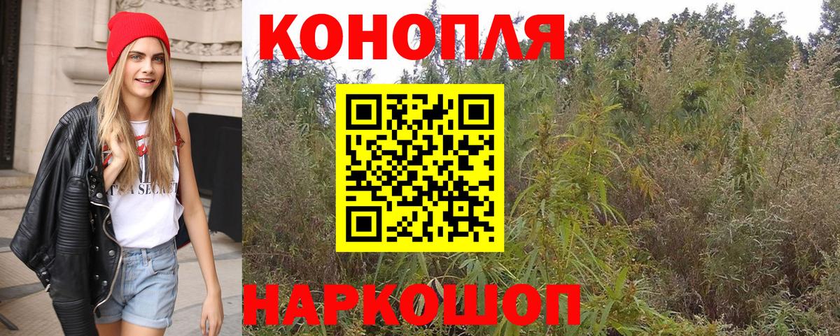 Шишки марихуана OG Kush  Каннабис тримм  Кудымкар  Вход с VPN  Шишки марихуана планчик 